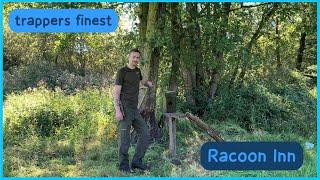 Racoon Inn - Waschbärenkirrung à la trappers finest