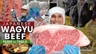 How Japanese Wagyu Beef is Graded | Farm to Table  ONLY in JAPAN