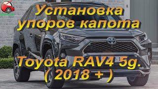 Установка упоров / амортизаторов капота на Toyota RAV4 5g от upora.net