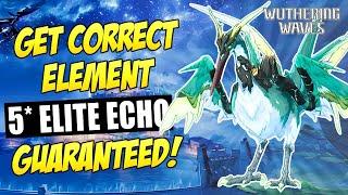 Correct Element 5* ELITE Echo Guaranteed! | Wuthering Waves