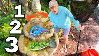 Catching *NEW* Exotic Fish for my DIY FOUNTAIN POND!! (3 LEVELS)