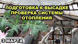 Томат. Подготовка к высадке, проверка системы отопления