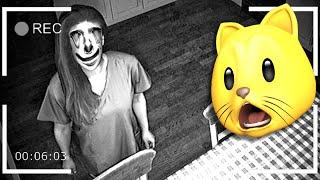 THIS ALTERNATE INTRUDER BROKE INTO MY HOUSE!!