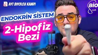 Endokrin Sistem-2 Hipofiz Bezi | Ayt Biyoloji Konu Anlatımı 11. Sınıf | 2024