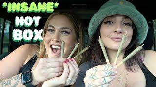 bestie hotbox with *6 JOINTS*