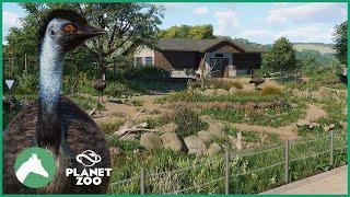 Emu Habitat | Elm Hill City Zoo | Planet Zoo