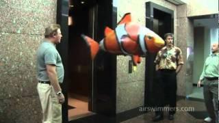 Air Swimmers - Poissons volants télécommandés- Enfin en France !!