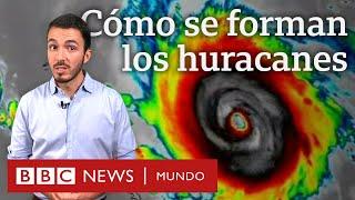 Por qué los huracanes son tan frecuentes en México, Estados Unidos y el Caribe | BBC Mundo