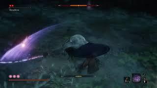 Sekiro- Headless (Sunken Valley)