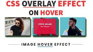 CSS Overlay Effect On Hover image | Create Beautiful Designs For Website