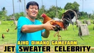 JET SWEATER CELEBRITY - AJHO DIMANO GAMEFARM