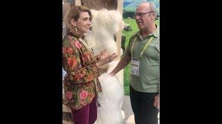 Trim Queen takes you to Heimtextil - Meet Bowren Sheepskin