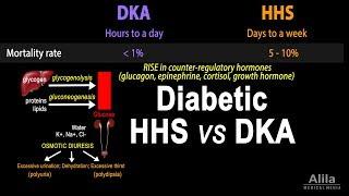 Hyperosmolar Hyperglycemic State, Diabetic HHS vs DKA, Animation