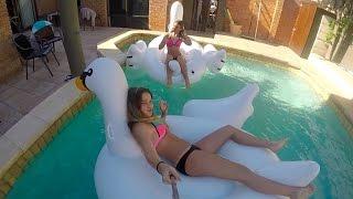 Giant Swans!?! | Underwater GoPro Fun!