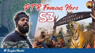 Pilibhit Tiger Reserve | PTR Famous Hero | S3 Tiger | Junglee Hactor