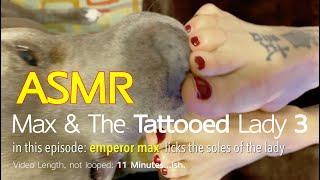 Max & The Tattooed Lady 3 | ASMR DOG LICKING | No Talking