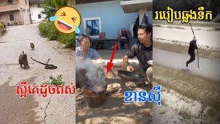 ស្អីគេដូចពស់,ខានសុី / funny video,