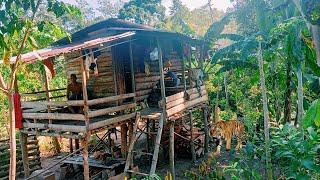 A tiger visited while staying overnight in a hut in the middle of the forest || brave father