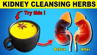 Eat These 8 Everyday Herbs To Boost Kidney Cleanse and Detox  | Healthy Every Day