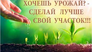 Хочешь урожай?- сделай лучше свой участок. Загущенность участка и Простые решения. Убираем лишнее!!!