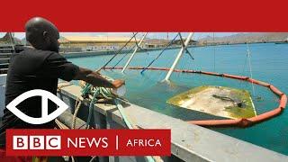 Finding Mr Fox: Inside West Africa’s drug trafficking highway - BBC Africa Eye documentary