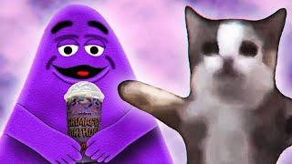 Happy Cat x Grimace Shake song