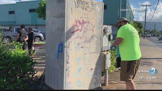 Local artists beautify Hawaii traffic boxes