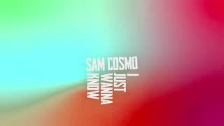 Sam Cosmo - I JUST WANNA KNOW (Lyrics video)