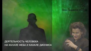 Деятельность человека на канале Феба и канале Диониса