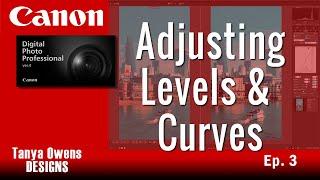 3 Adjusting Levels & Curves - Canon DPP 4