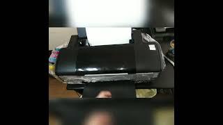 EPSON 1410, L1800 - ПЛОХО БЕРЁТ БУМАГУ. Небольшая подсказка по ремонту 