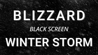 Blizzard Storm Sounds for Sleeping - BLACK SCREEN | Relaxing Sleep - Winter Storm, Snow Storm