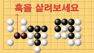 바둑 맥점 사활 - 실전에서 엄청 실수 많이 합니다. 흑을 살려보세요