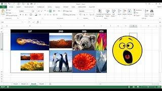 2 Methods How to insert picture in Excel Cell, How to fix photo or Image in Excel Cell