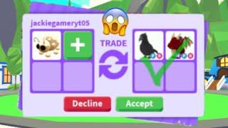 WHAT People TRADE For GOLDEN LADYBUG In Adopt me Roblox!