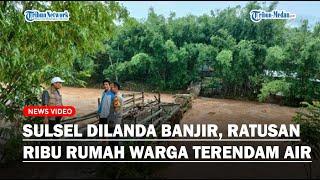 BREAKING: Sulsel Dilanda Banjir, Ratusan Ribu Rumah Warga Terendam Air, 15 Jembatan Terputus