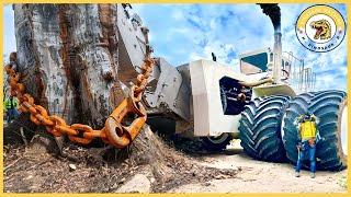 Dangerous Powerful Stump Removal Excavator Working, Incredible Wood Chipper Machines in Action