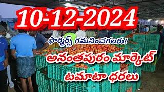 10 December 2024 today Anantapur tomato market rates/Today tomato price/ Ananthapuram tomato rate#