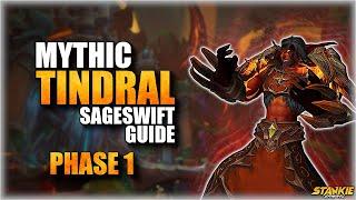 Mythic Tindral Phase 1 Guide | Dragonflight 10.2 Amirdrassil