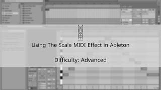 TIPS & TRICKS: Using the Scale MIDI Effect in Ableton