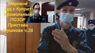 Мировой суд с Куприт Пристав Глушков Беспредельничает Полиция Бездействует юрист Вадим Видякин ч.26