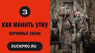 3.  Как манить утку.  Охота с Бак Гарднер. Кормовые звуки. Русская озвучка.