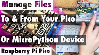 Copy Files to & Run Scripts between your Tiny 2040, Raspberry Pi Pico, & Other MicroPython Devices