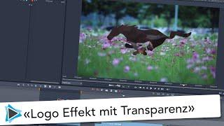 Logo Animation mit Pinnacle Studio 23 mit Video Transparenz Video Tutorial Deutsch