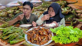 Siapin Nasi Hangat, Masak Yang Satu Ini Makannya Makin Nikmat, Tongkol Terong Balado, Ase Cabe Ijo