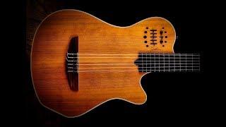 The Godin Midi Multiac Concert Grand SA Guitar #5