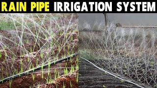 RAIN PIPE IRRIGATION SYSTEM | How to install Rain irrigation System