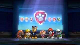 9 Years of PAW Patrol?!!