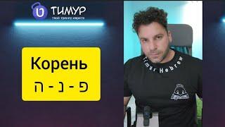 Корень פ - נ - ה | Иврит с Тимуром