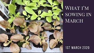 What I'm Sowing In March